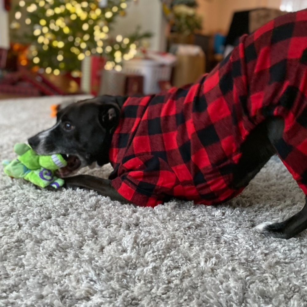 🖤❤️Large Dog Christmas pajamas red and black buffalo plaid - Picture 2 of 7
